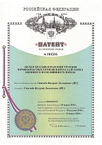 Патент на полезную модель